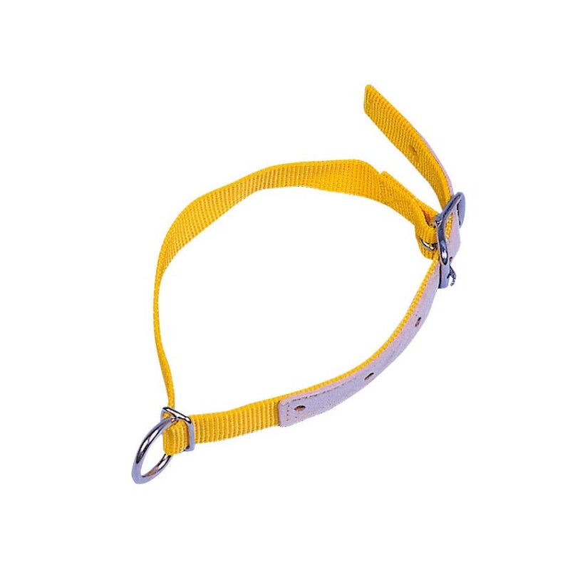 Halsband für Schafe - Kerbl in gelb
