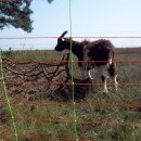 Gallagher Elektronetz für Schafe Kombi mit Einzelspitze, 90 cm hoch, 50 m lang