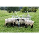 Patura Viereckraufe Standard für Schafe