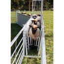 Patura Rücklaufsperre (2-teilig), Schafe, für Horden